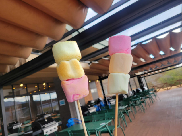 薪割り体験＋三色お花見マシュマロ焼き